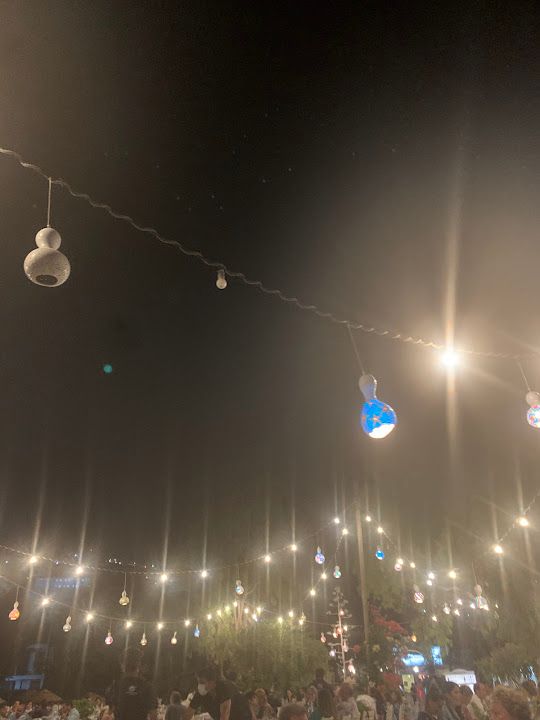 Fotoğraf 15