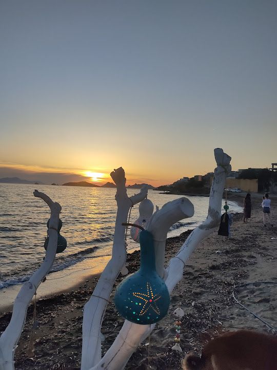 Fotoğraf 55