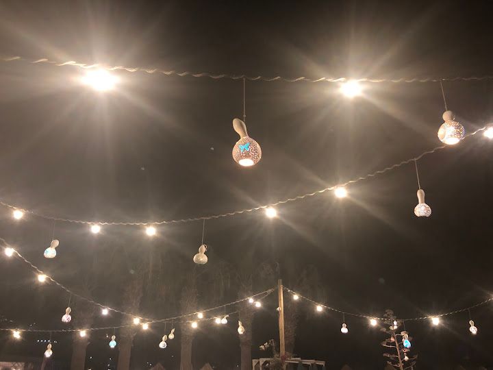 Fotoğraf 22