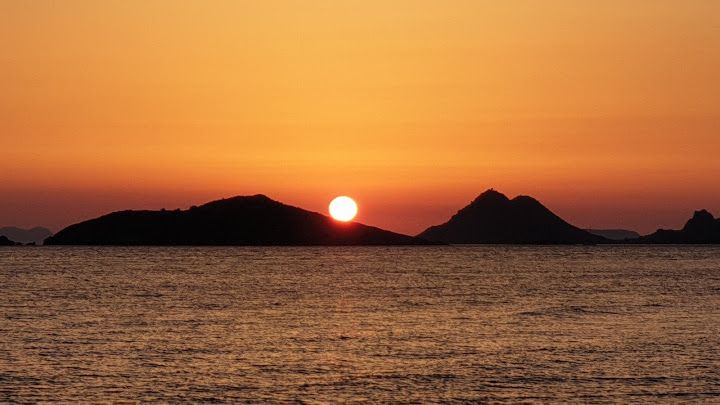 Fotoğraf 61
