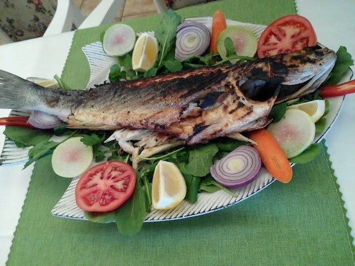 Fotoğraf 33