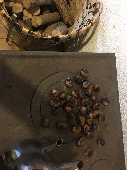 Fotoğraf 37