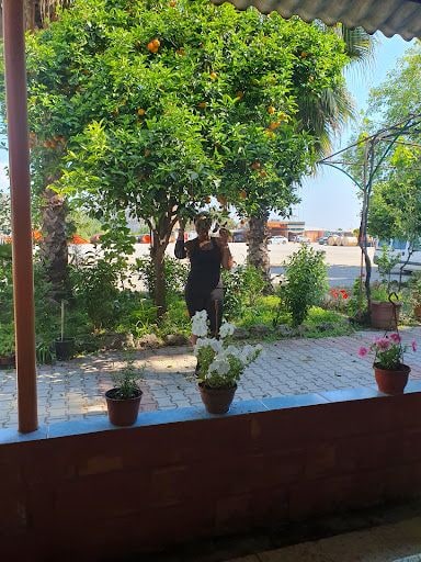 Fotoğraf 5