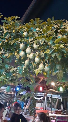 Yorum fotoğrafı 3