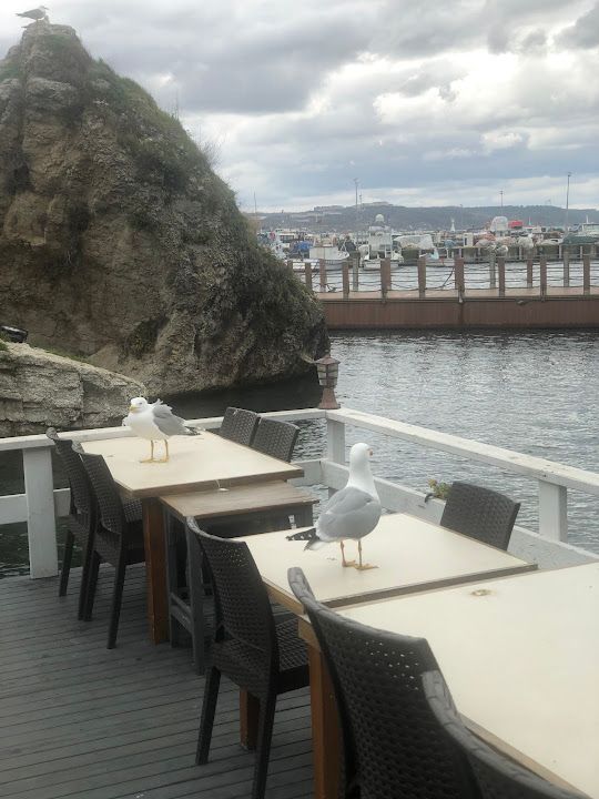 Yorum fotoğrafı 4