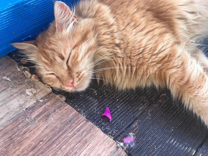 Yorum fotoğrafı 4