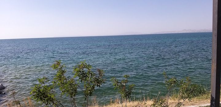 Fotoğraf 56