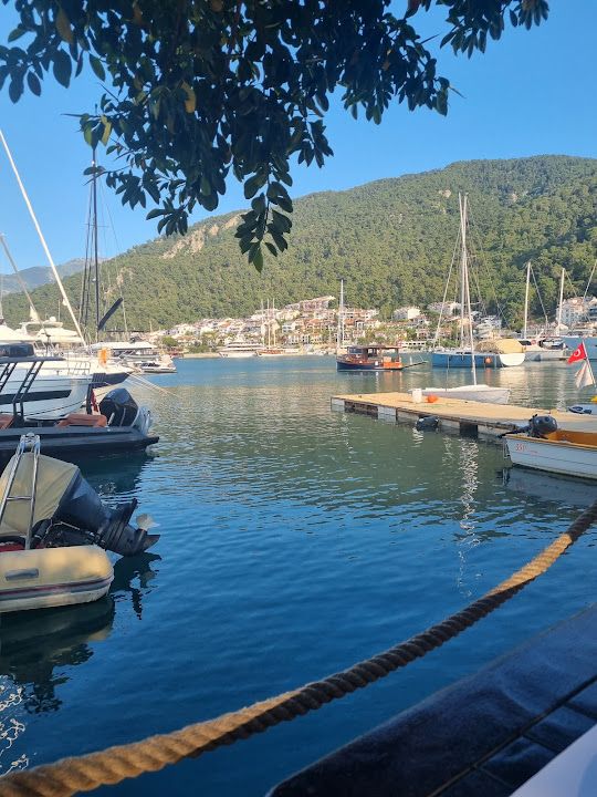 Yorum fotoğrafı 1