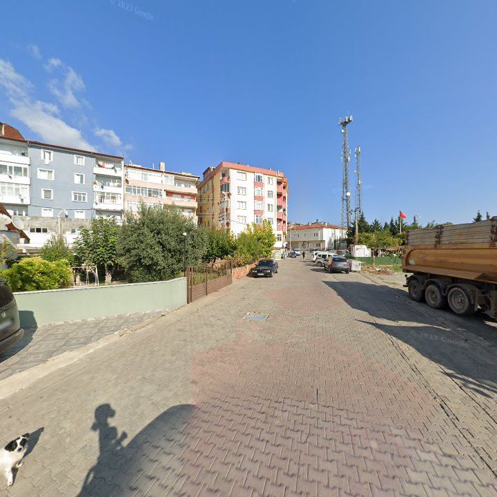 Fotoğraf 5
