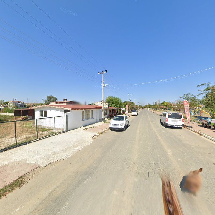 Fotoğraf 7
