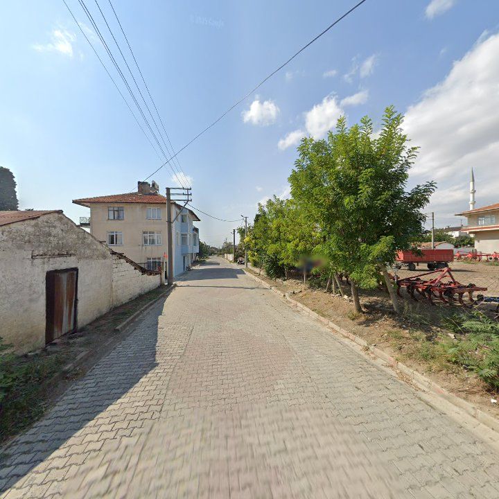 Fotoğraf 7