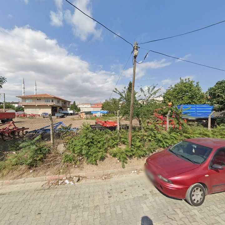 Fotoğraf 8