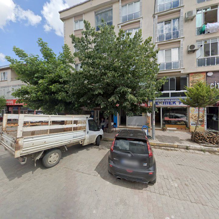 Fotoğraf 8