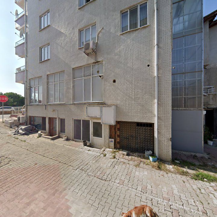 Fotoğraf 6