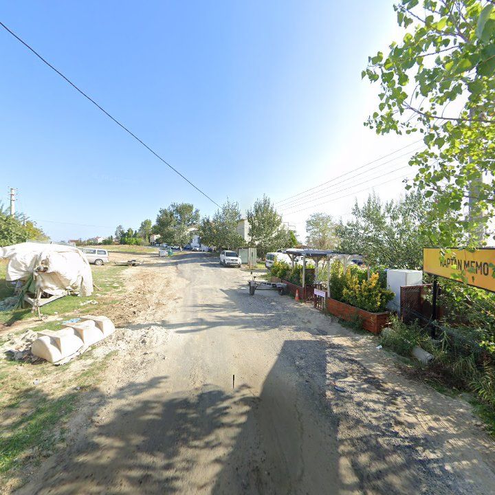 Fotoğraf 6