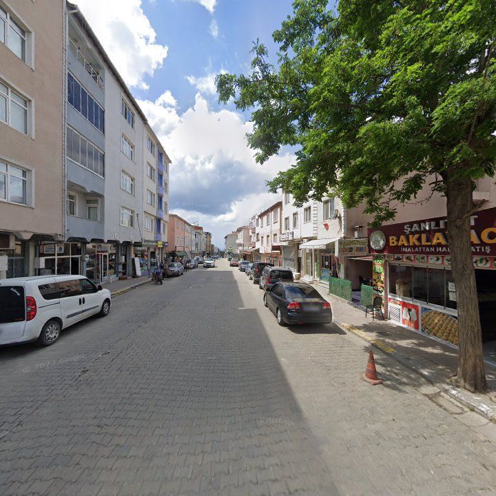 Fotoğraf 8