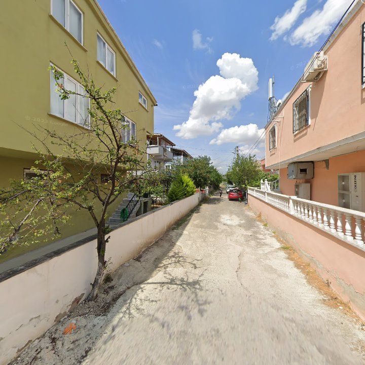Fotoğraf 6