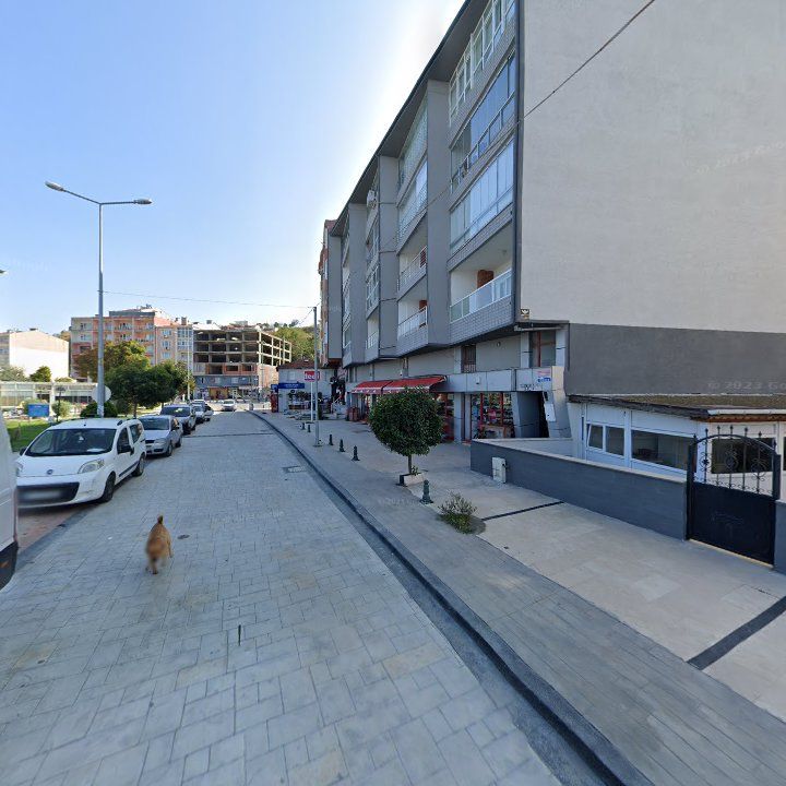 Fotoğraf 8