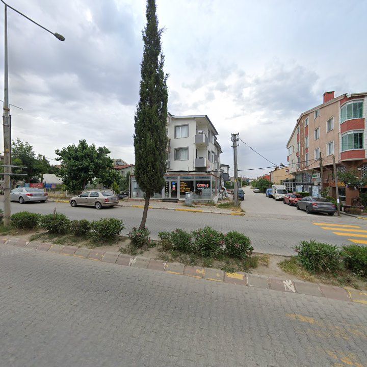 Fotoğraf 7