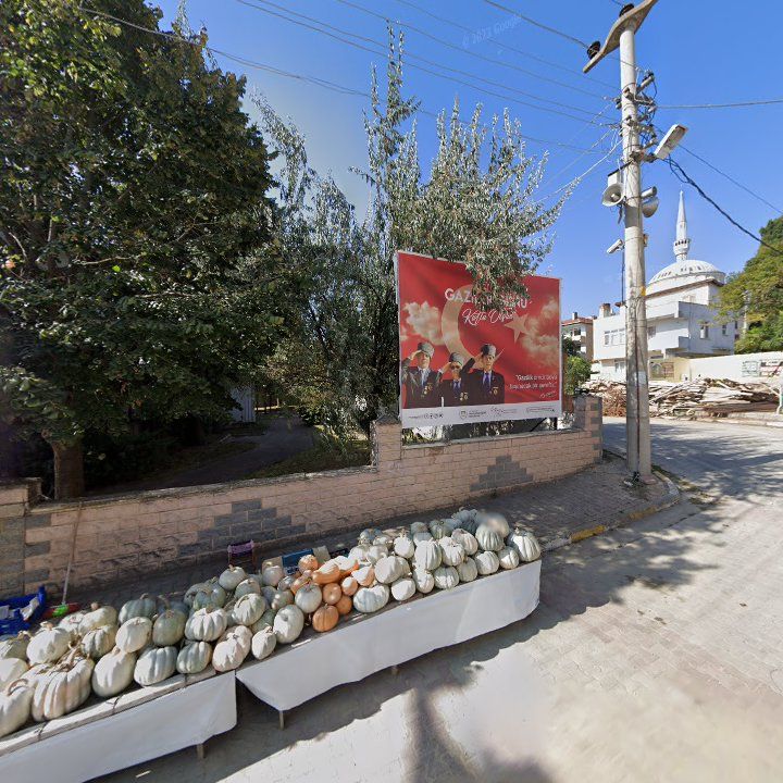 Fotoğraf 8