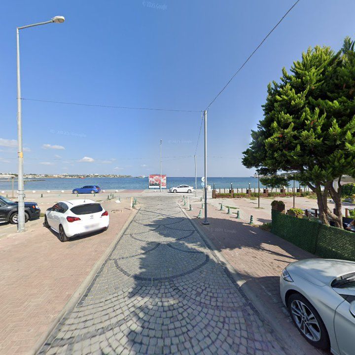 Fotoğraf 12