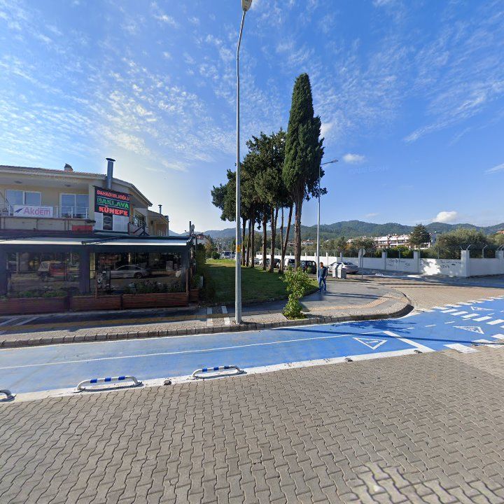 Fotoğraf 7