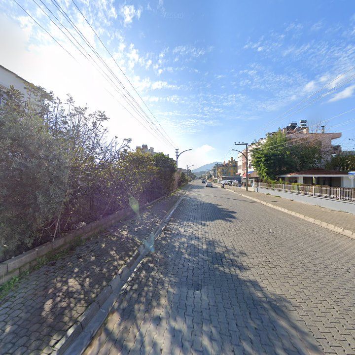 Fotoğraf 8