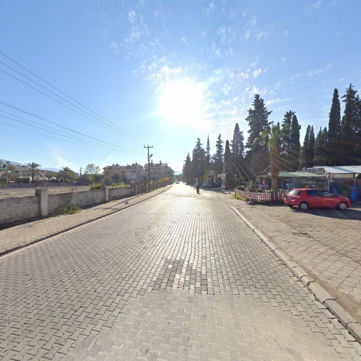 Fotoğraf 7