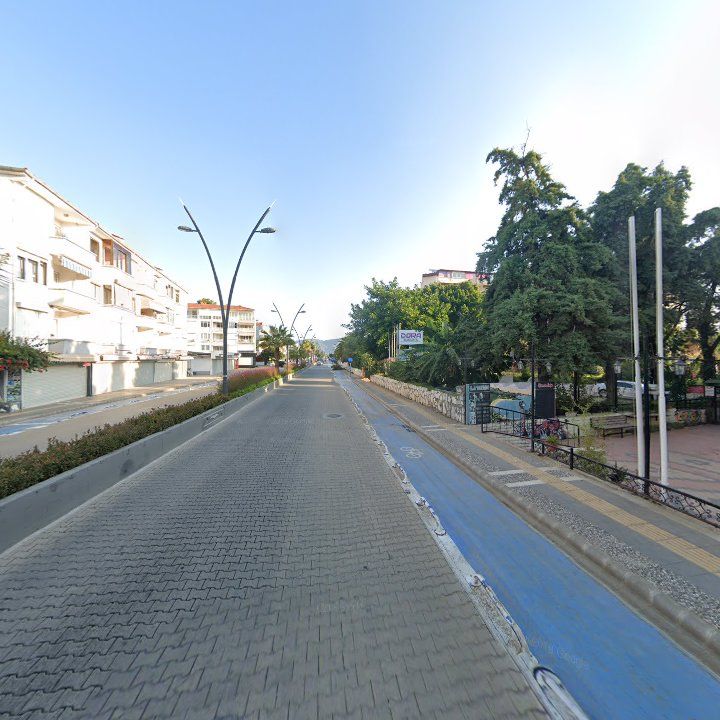 Fotoğraf 10