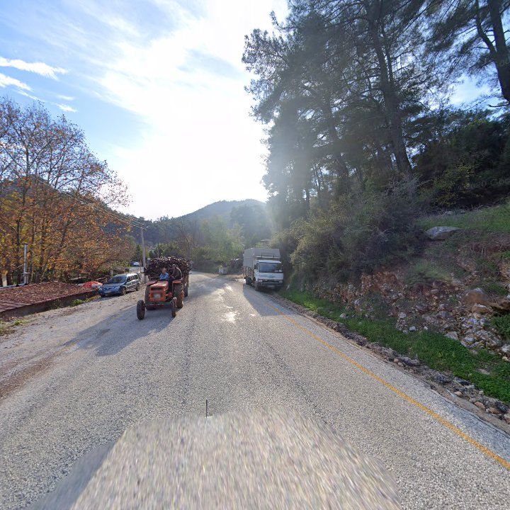 Fotoğraf 8
