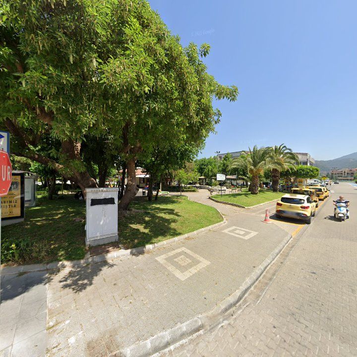 Fotoğraf 10