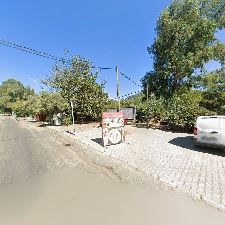 Fotoğraf 12