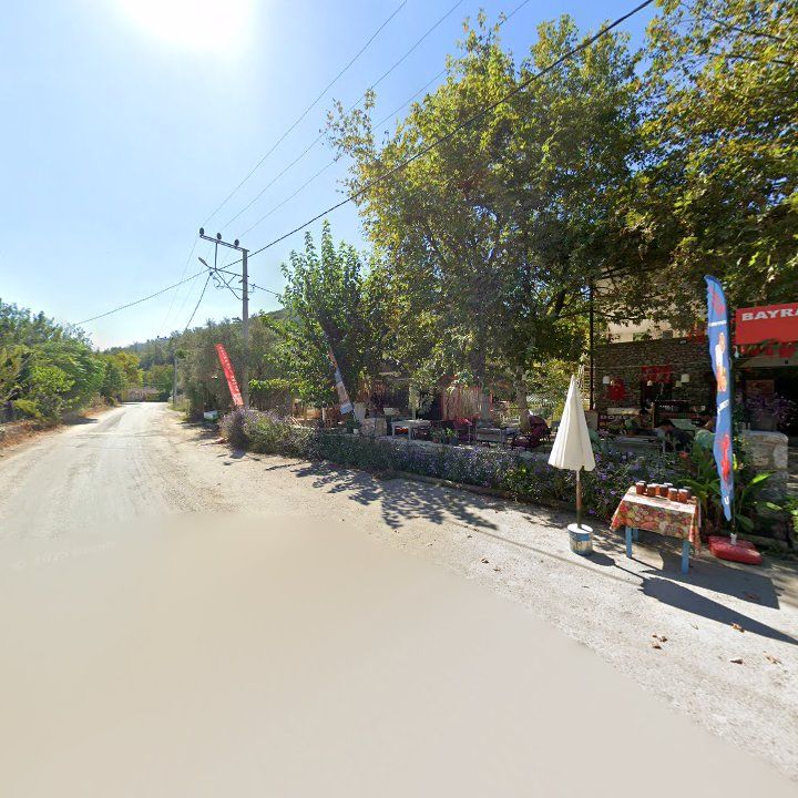 Fotoğraf 10