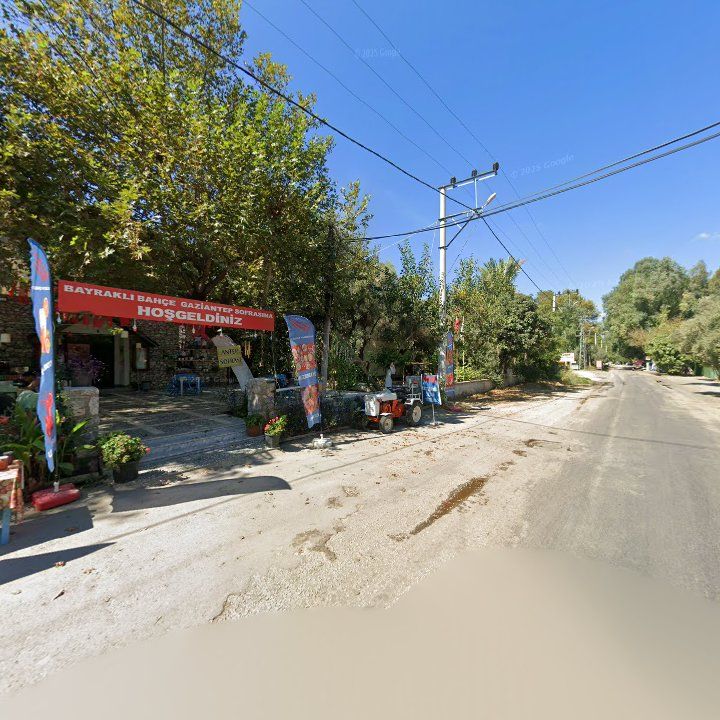 Fotoğraf 11