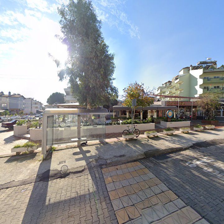 Fotoğraf 8