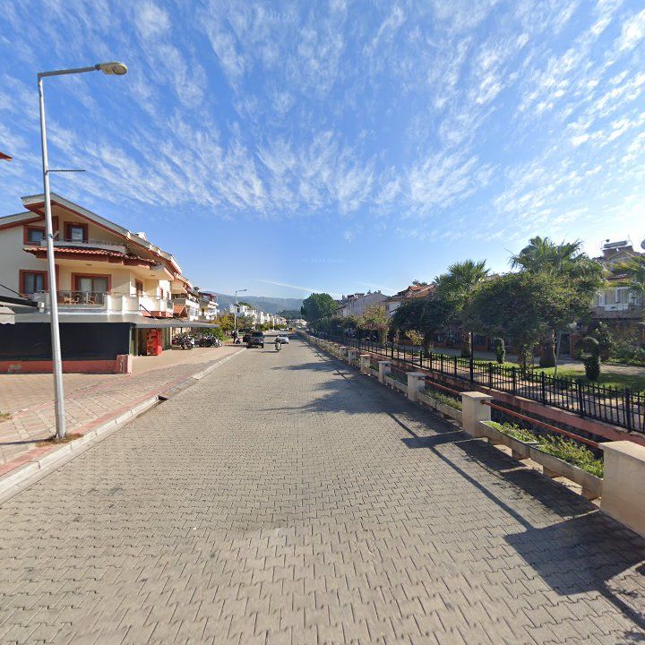Fotoğraf 10