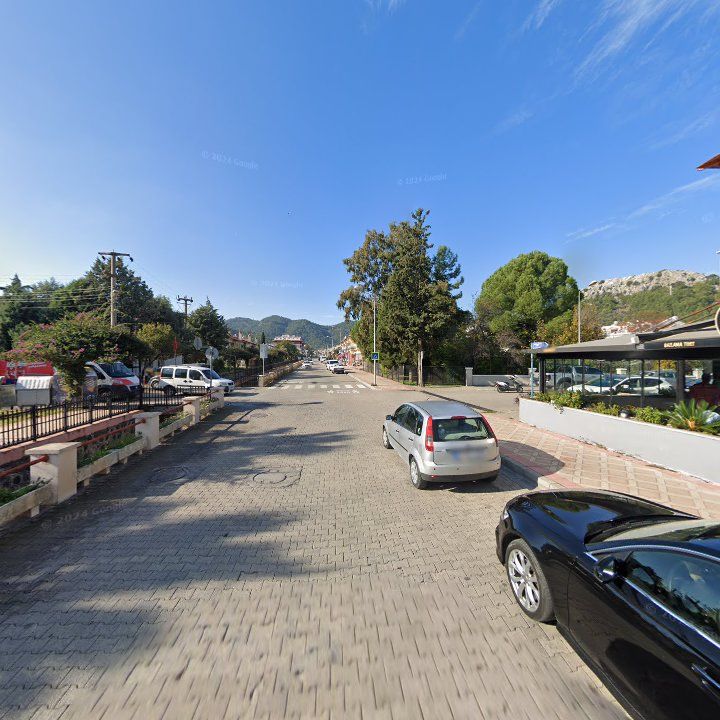 Fotoğraf 12
