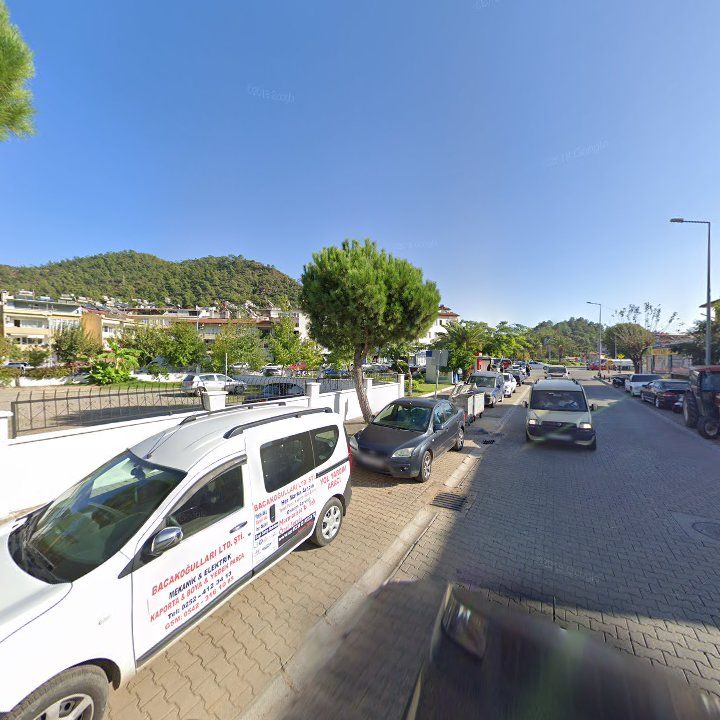 Fotoğraf 7