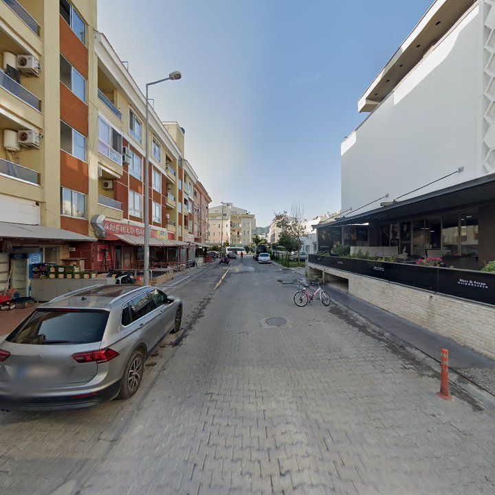 Fotoğraf 12