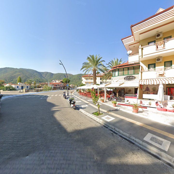 Fotoğraf 12