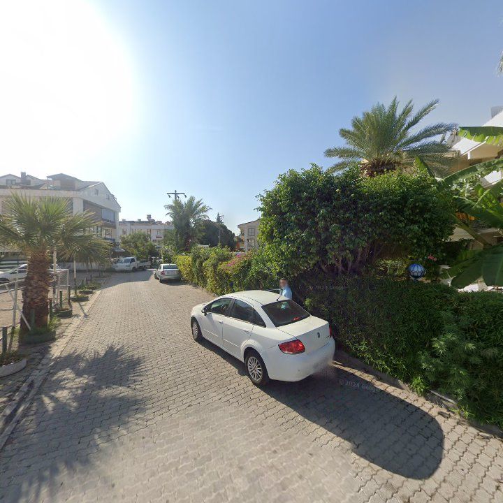 Fotoğraf 8