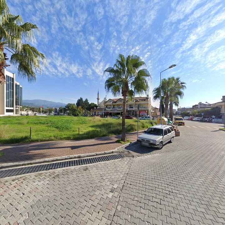 Fotoğraf 8