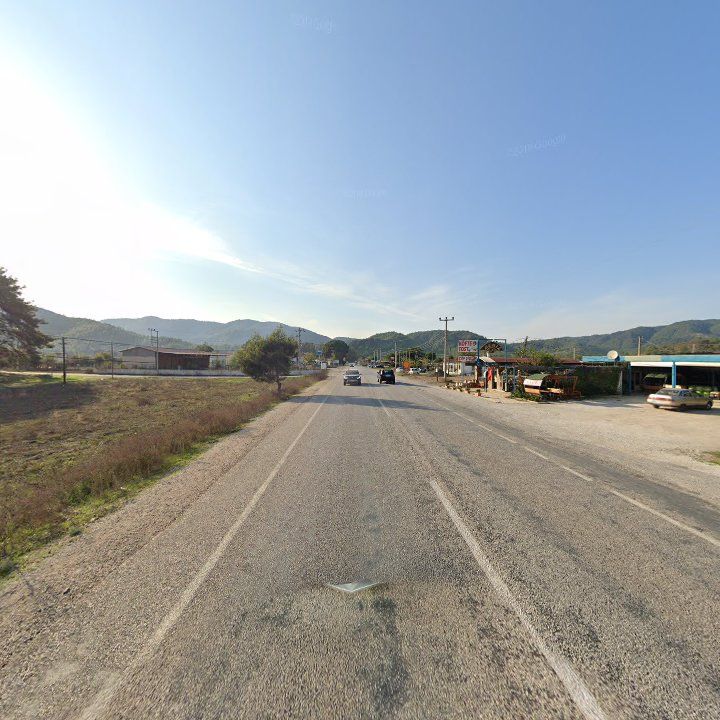 Fotoğraf 10