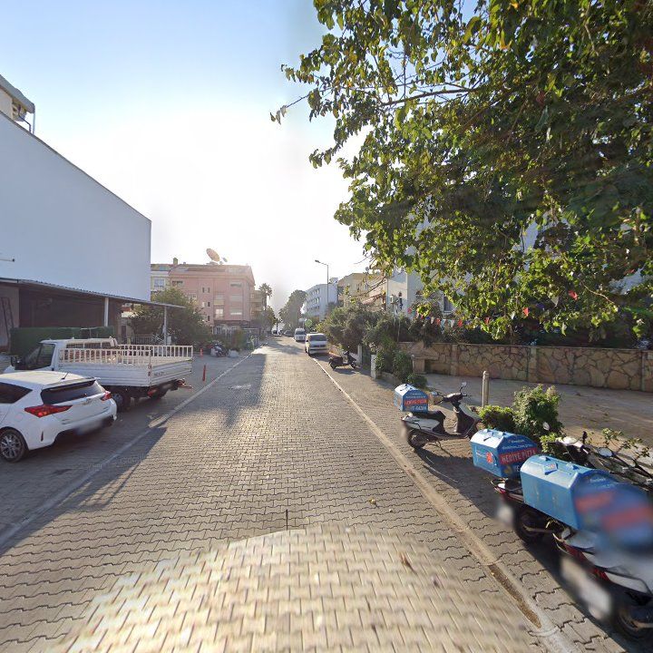 Fotoğraf 10