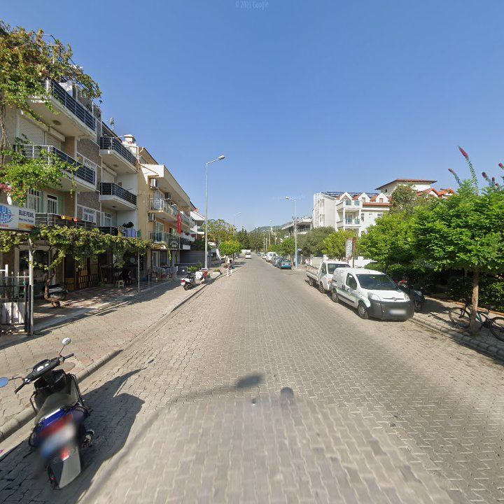 Fotoğraf 8