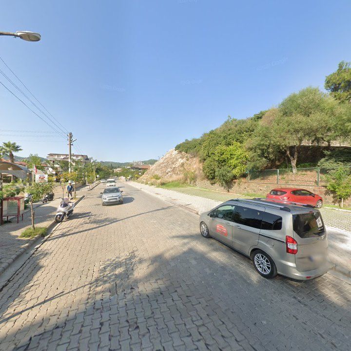 Fotoğraf 8