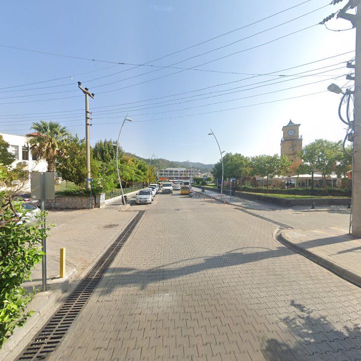 Fotoğraf 14