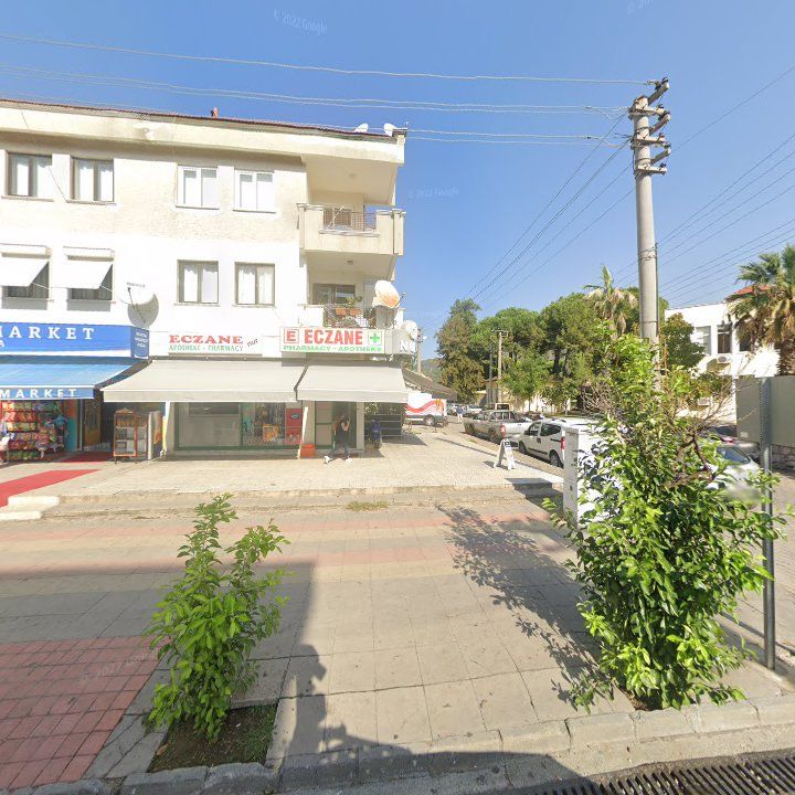 Fotoğraf 13