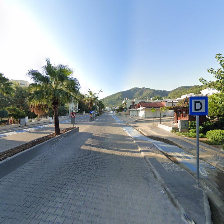 Fotoğraf 10