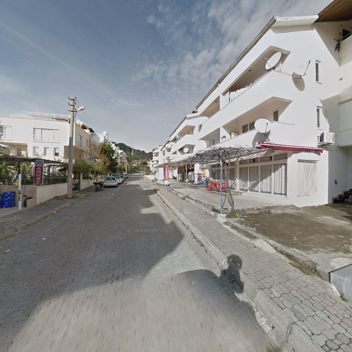 Fotoğraf 8